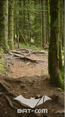 26_09_05_Bussang_VD N°131 V3496