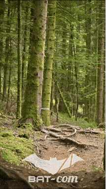 26_09_05_Bussang_VD N°143 V3452