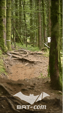 26_09_05_Bussang_VD N°144 V3508