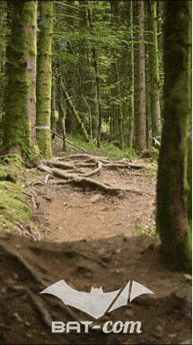 26_09_05_Bussang_VD N°146 V3461