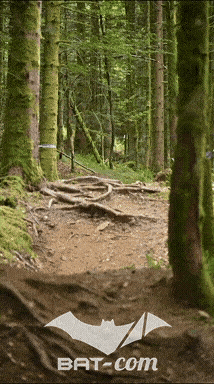 26_09_05_Bussang_VD N°147 V3454