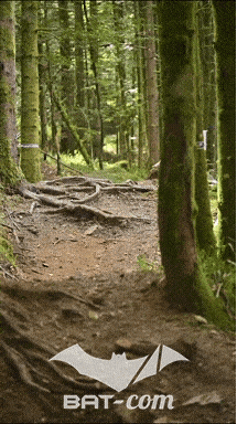 26_09_05_Bussang_VD N°154 V3436