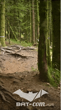 26_09_05_Bussang_VD N°158 V3464