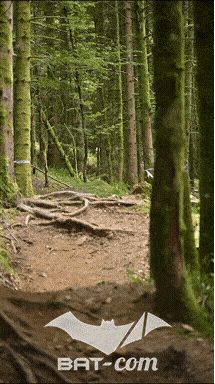 26_09_05_Bussang_VD N°160 V3463