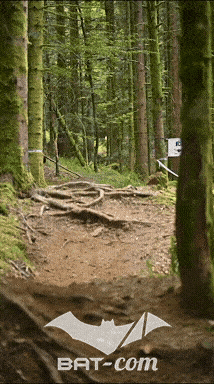 26_09_05_Bussang_VD N°170 V3509