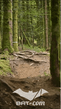 26_09_05_Bussang_VD N°173 V3456