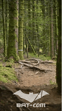 26_09_05_Bussang_VD N°178 V3433