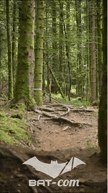 26_09_05_Bussang_VD N°179 V3432