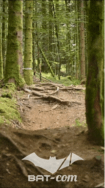 26_09_05_Bussang_VD N°192 V3442