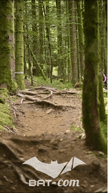 26_09_05_Bussang_VD N°196 V3480