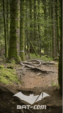 26_09_05_Bussang_VD N°200 V3421