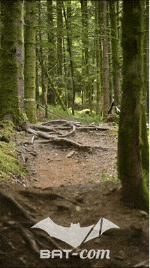 26_09_05_Bussang_VD N°219 V3411