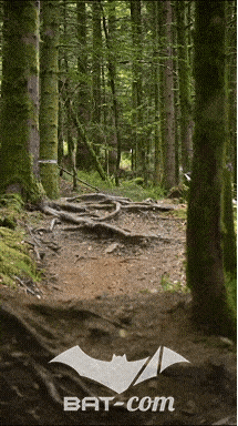 26_09_05_Bussang_VD N°226 V3415