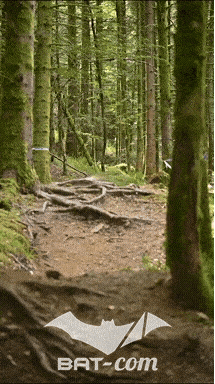 26_09_05_Bussang_VD N°231 V3399