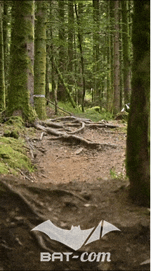 26_09_05_Bussang_VD N°232 V3406
