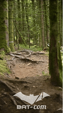 26_09_05_Bussang_VD N°236 V3405
