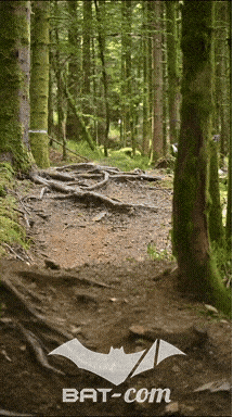 26_09_05_Bussang_VD N°240 V3400