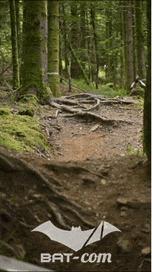 26_09_05_Bussang_VD N°241 V3414