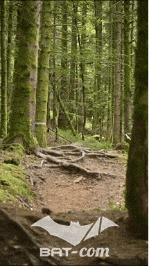 26_09_05_Bussang_VD N°244 V3397
