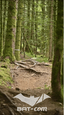 26_09_05_Bussang_VD N°246 V3391