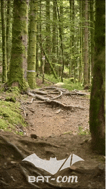26_09_05_Bussang_VD N°247 V3390