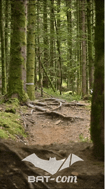 26_09_05_Bussang_VD N°248 V3408