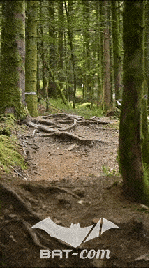 26_09_05_Bussang_VD N°249 V3407