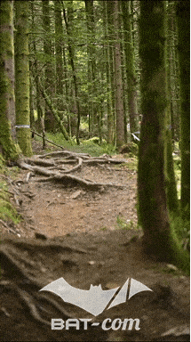 26_09_05_Bussang_VD N°256 V3404