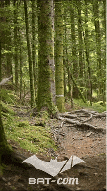 26_09_05_Bussang_VD N°260 V3402