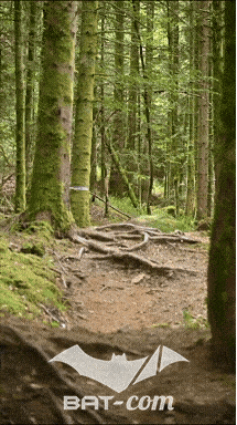 26_09_05_Bussang_VD N°271 V3386