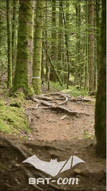 26_09_05_Bussang_VD N°273 V3387