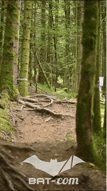26_09_05_Bussang_VD N°279 V3380