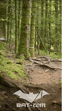 26_09_05_Bussang_VD N°292 V3384