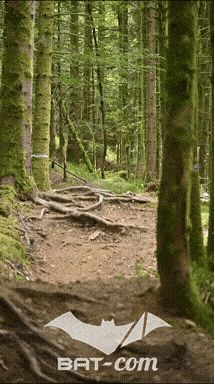 26_09_05_Bussang_VD N°298 V3383
