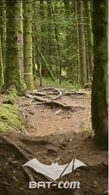 26_09_05_Bussang_VD N°348 V3450