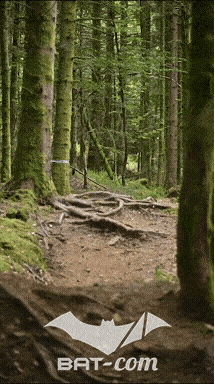 26_09_05_Bussang_VD N°418 V3423