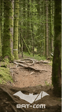 26_09_05_Bussang_VD N°419 V3443