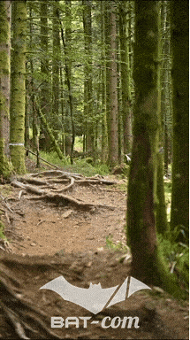 26_09_05_Bussang_VD N°67 V3479