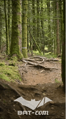 26_09_05_Bussang_VD N°72 V3426