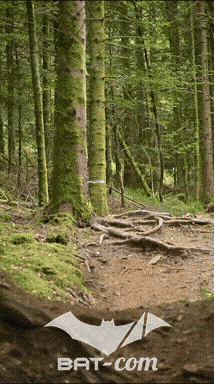 26_09_05_Bussang_VD N°75 V3455