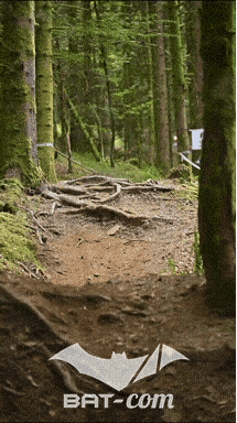 26_09_05_Bussang_VD N°76 V3513