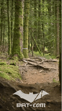 26_09_05_Bussang_VD N°79 V3430