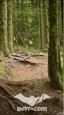 26_09_05_Bussang_VD N°82 V3471