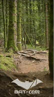 26_09_05_Bussang_VD N°84 V3429