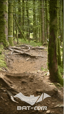 26_09_05_Bussang_VD N°87 V3482