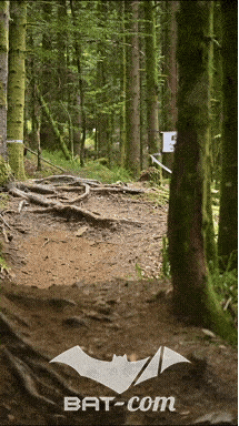 26_09_05_Bussang_VD N°89 V3510
