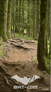 26_09_05_Bussang_VD N°90 V3483