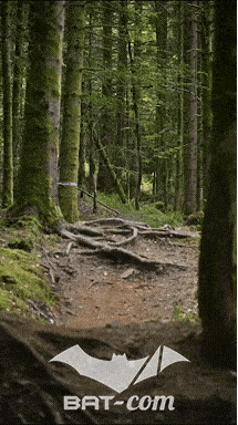 26_09_05_Bussang_VD N°ORGA V3418