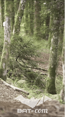 26_09_05_Bussang_VM N°100 V0114
