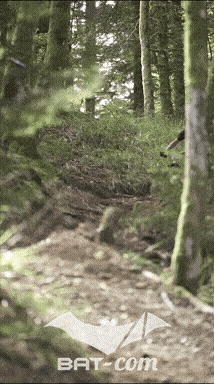 26_09_05_Bussang_VM N°102 V0444